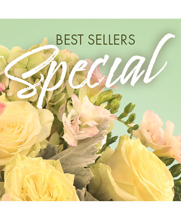 Best Sellers Special Designer's Choice in Manchester, OH | SPECIAL TOUCH FLORAL DESIGN